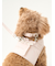 【CAT&DOG】【販路限定商品】リード