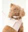 【CAT&DOG】【販路限定商品】リード
