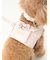 【CAT&DOG】【販路限定商品】リード