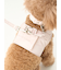 【CAT&DOG】【販路限定商品】リード