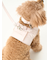 【CAT&DOG】【販路限定商品】リード