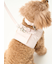 【CAT&DOG】【販路限定商品】リード