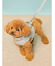 【CAT&DOG】【販路限定商品】リード