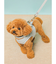 【CAT&DOG】【販路限定商品】リード