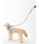 【CAT&DOG】【販路限定商品】リード