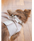 【CAT&DOG】【販路限定商品】リード