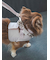 【CAT&DOG】【販路限定商品】リード