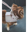 【CAT&DOG】【販路限定商品】リード