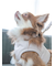 【CAT&DOG】【販路限定商品】リード