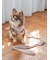 【CAT&DOG】【販路限定商品】リード