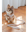 【CAT&DOG】【販路限定商品】リード