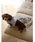 【CAT&DOG】【販路限定商品】リード