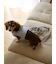 【CAT&DOG】【販路限定商品】リード