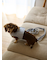 【CAT&DOG】【販路限定商品】リード