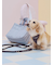 【CAT&DOG】【販路限定商品】リード