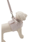 【CAT&DOG】【販路限定商品】リード