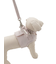 【CAT&DOG】【販路限定商品】リード