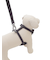 【CAT&DOG】【販路限定商品】リード