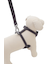 【CAT&DOG】【販路限定商品】リード
