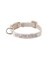 【CAT&DOG】【販路限定商品】モチーフ柄首輪