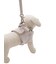 【CAT&DOG】【販路限定商品】ジョイント