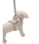 【CAT&DOG】【販路限定商品】ジョイント
