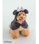 【CAT&DOG】【販路限定商品】Minnie/スムーズィーケープ