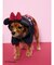 【CAT&DOG】【販路限定商品】Minnie/スムーズィーケープ