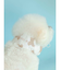 【CAT&DOG】【販路限定商品】COOLネックカバー
