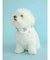 【CAT&DOG】【販路限定商品】COOLネックカバー