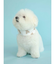 【CAT&DOG】【販路限定商品】COOLネックカバー