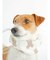 【CAT&DOG】【販路限定商品】COOLネックカバー