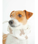 【CAT&DOG】【販路限定商品】COOLネックカバー