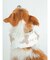 【CAT&DOG】【販路限定商品】COOLネックカバー