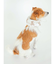 【CAT&DOG】【販路限定商品】COOLネックカバー