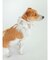【CAT&DOG】【販路限定商品】COOLネックカバー