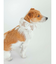 【CAT&DOG】【販路限定商品】COOLネックカバー