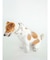 【CAT&DOG】【販路限定商品】COOLネックカバー