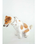 【CAT&DOG】【販路限定商品】COOLネックカバー