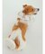 【CAT&DOG】【販路限定商品】COOLネックカバー