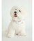 【CAT&DOG】【販路限定商品】COOLネックカバー