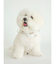 【CAT&DOG】【販路限定商品】COOLネックカバー