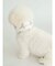 【CAT&DOG】【販路限定商品】COOLネックカバー