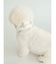 【CAT&DOG】【販路限定商品】COOLネックカバー