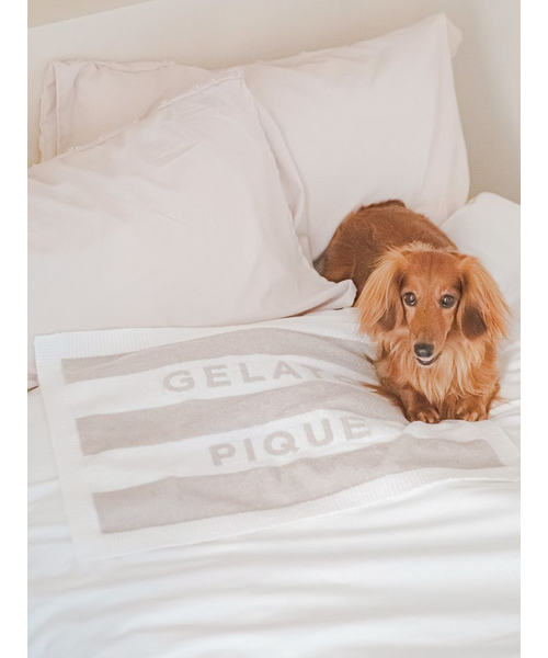 CAT&DOG】スムーズィー2ボーダーブランケット｜ジェラートピケの通販