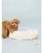 【CAT&DOG】裏毛スリング