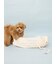 【CAT&DOG】裏毛スリング