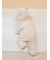 【限定カラーあり】【BABY】パウダーベアロンパース