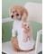 【CAT&DOG】トイプードルジャガードハイネックプルオーバー