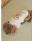 【CAT&DOG】トイプードルジャガードハイネックプルオーバー